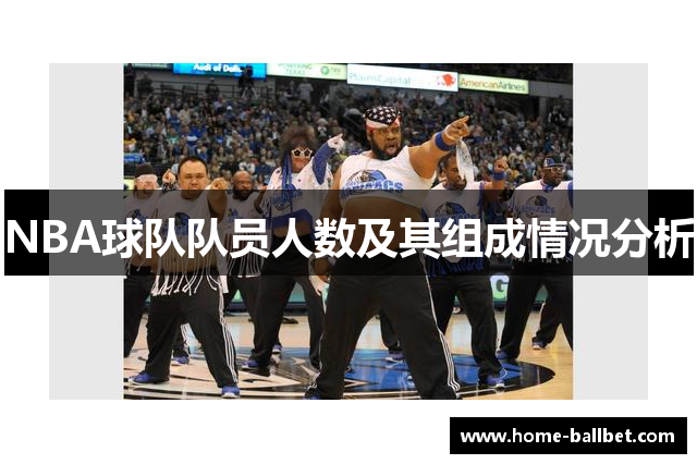 NBA球队队员人数及其组成情况分析